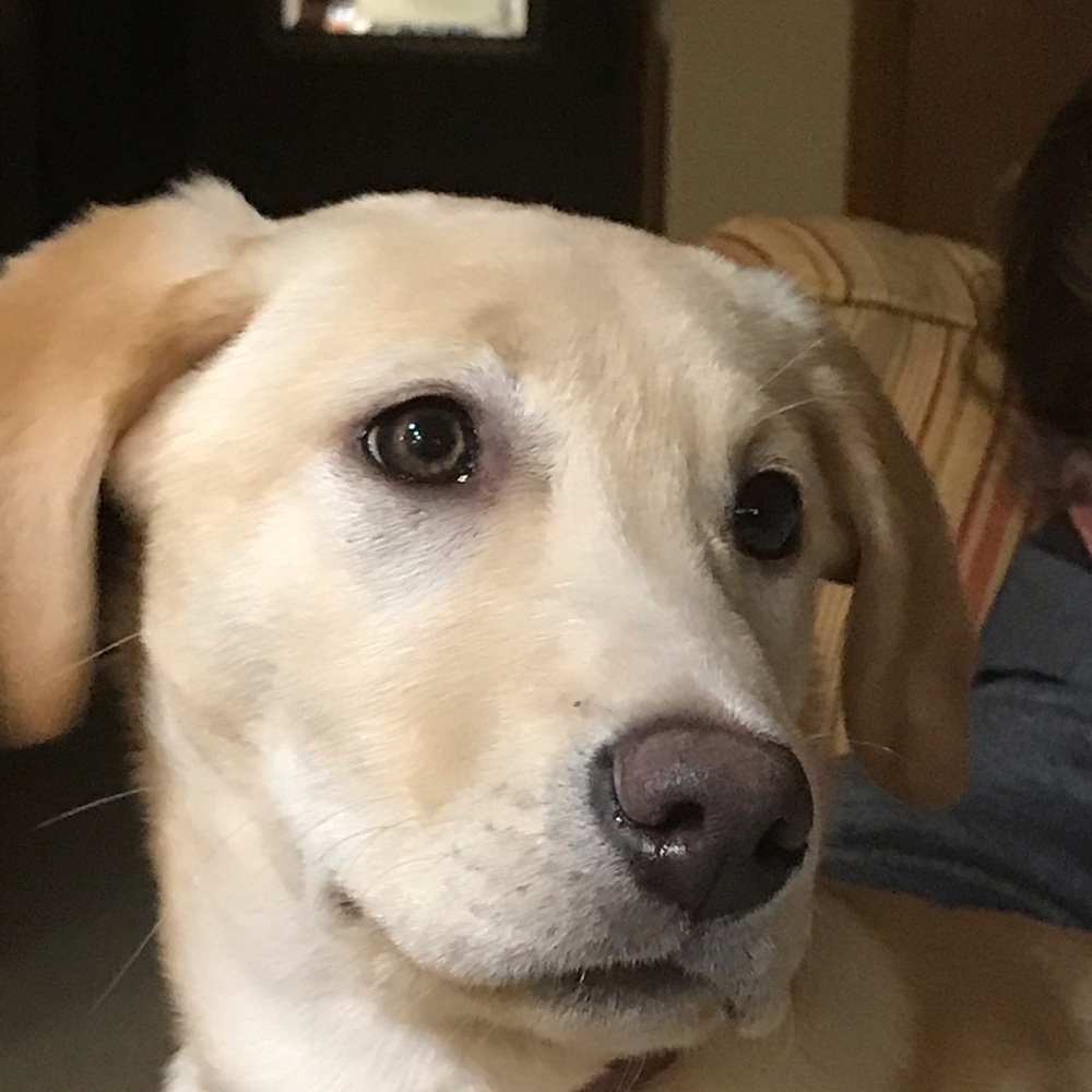 Meet your Posher, Addie